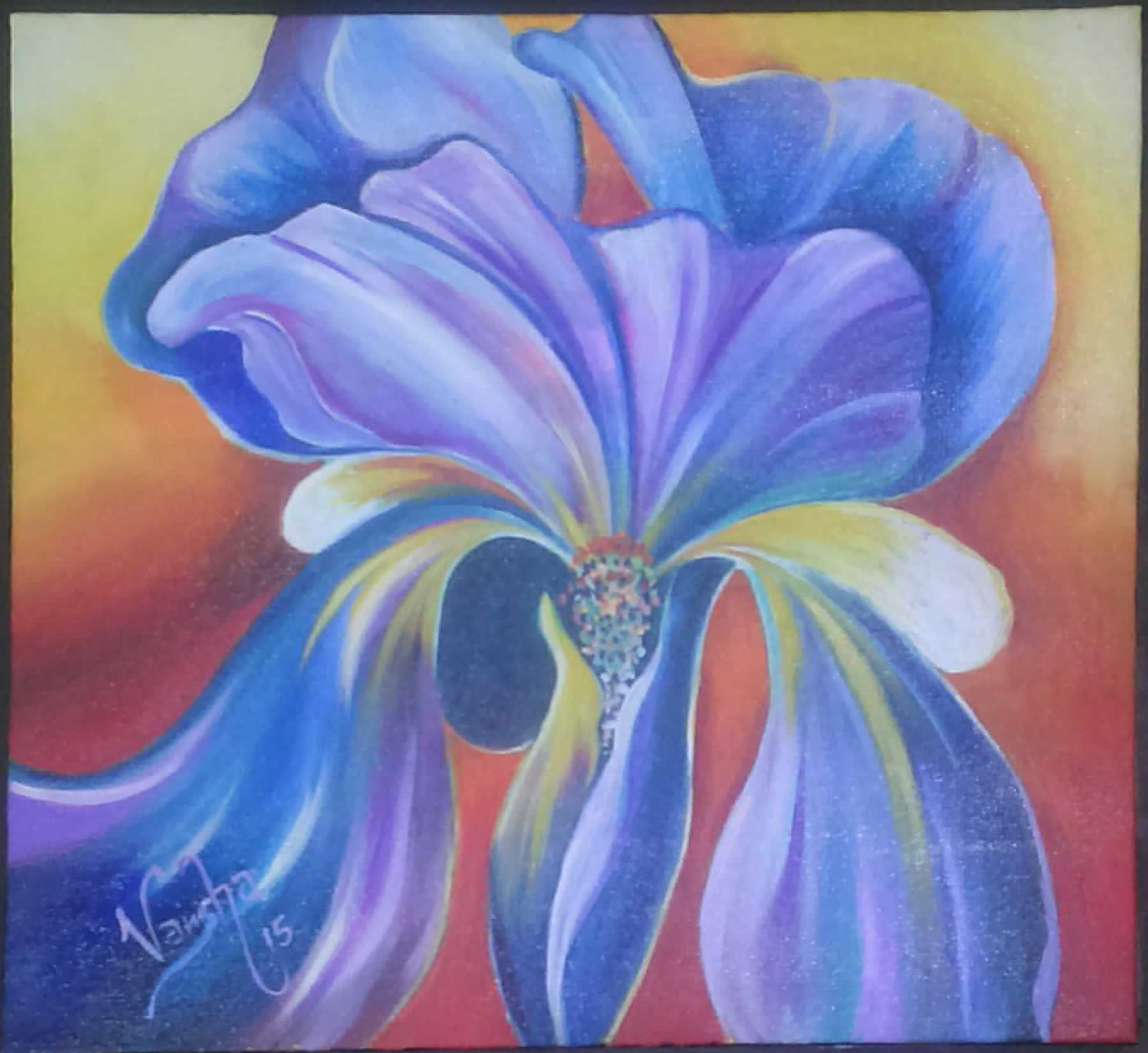 Iris